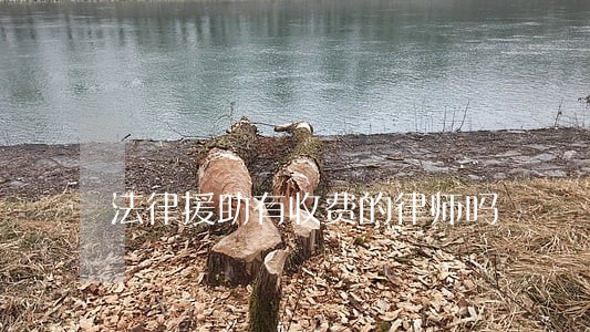 法律援助有收费的律师吗 法律援助有收费的律师吗