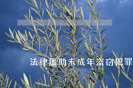 法律援助未成年盗窃犯罪辩护词 法律援助未成年盗窃犯罪辩护词