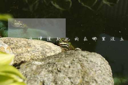 法律援助机构在哪里设立 法律援助机构在哪里设立