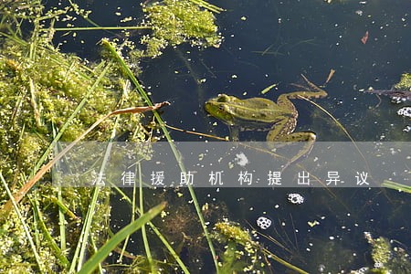 法律援助机构提出异议