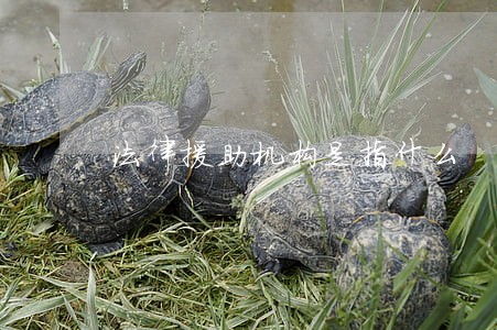 法律援助机构是指什么 法律援助机构是指什么