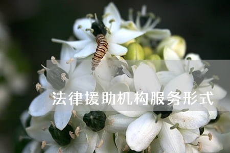 法律援助机构服务形式 法律援助机构服务形式
