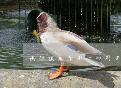 法律援助条例十四周年
