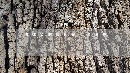 法律援助条例是什么意思 法律援助条例是什么意思