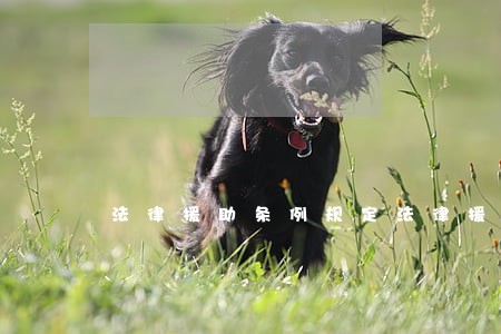 法律援助条例规定法律援助我们的