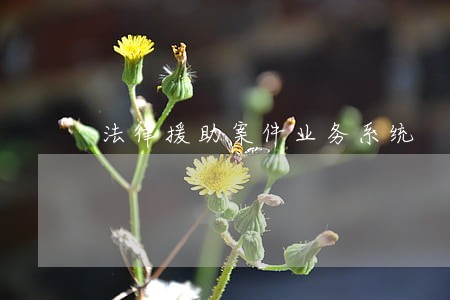 法律援助案件业务系统 法律援助案件业务系统