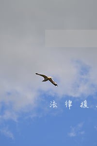 法律援助案件优先快办 法律援助案件优先快办