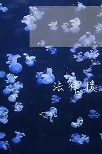 法律援助案件如何写终结 法律援助案件如何写终结