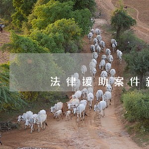 法律援助案件新闻 法律援助案件新闻