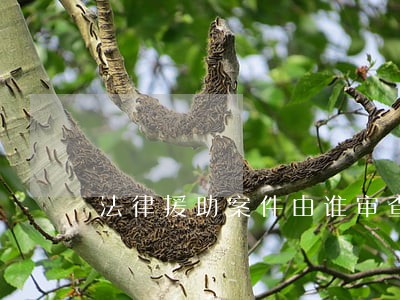 法律援助案件由谁审查批准