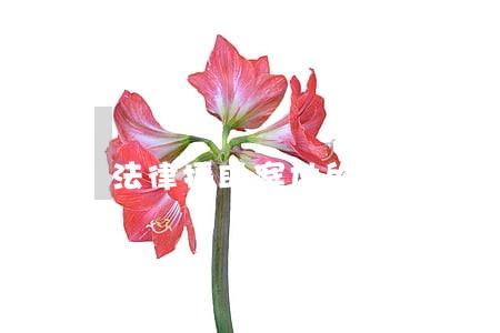 法律援助案件的办案态度 法律援助案件的办案态度