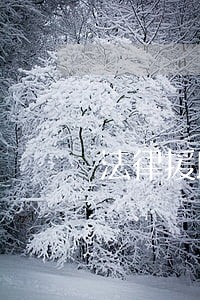 法律援助民生工程工作汇报