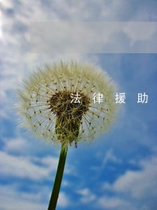 法律援助民生工程影响力 法律援助民生工程影响力