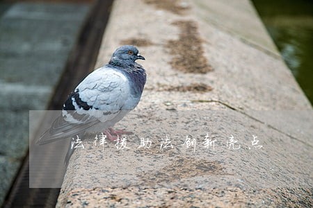 法律援助法创新亮点