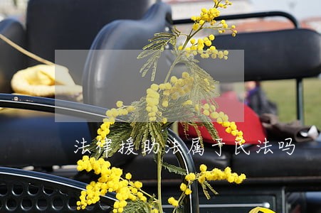 法律援助法属于民法吗 法律援助法属于民法吗