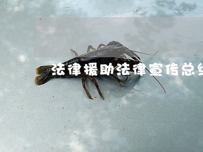 法律援助法律宣传总结 法律援助法律宣传总结