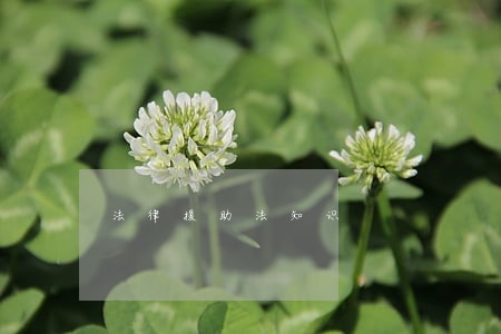 法律援助法知识