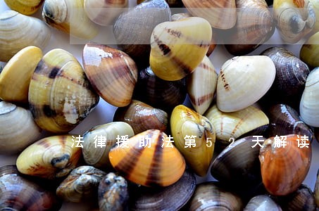 法律援助法第52天解读 法律援助法第52天解读