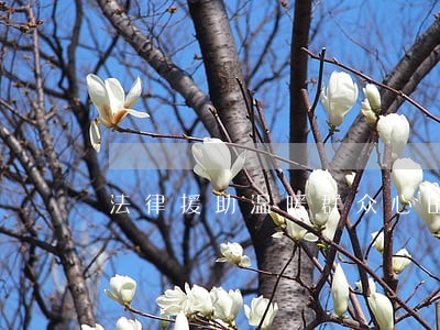 法律援助温暖群众心田 法律援助温暖群众心田
