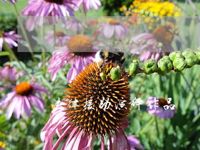 法律援助演绎作品