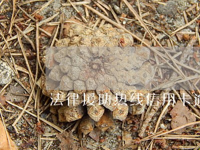 法律援助热线信用卡逾期怎么办 法律援助热线信用卡逾期怎么办