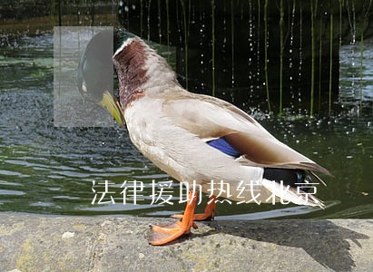 法律援助热线北京 法律援助热线北京