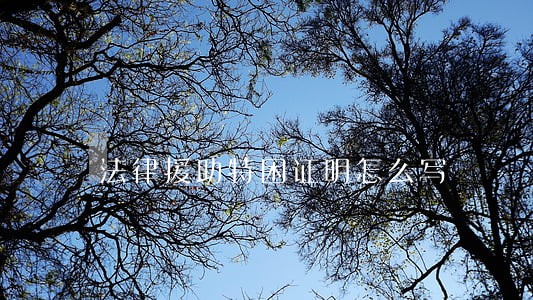 法律援助特困证明怎么写