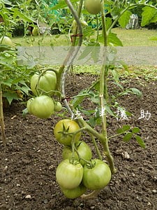 法律援助申请人经济状况 法律援助申请人经济状况