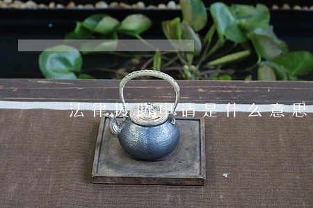 法律援助申请是什么意思 法律援助申请是什么意思