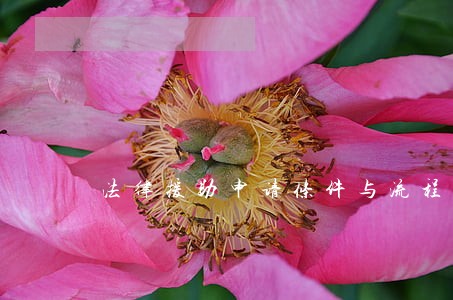 法律援助申请条件与流程 法律援助申请条件与流程