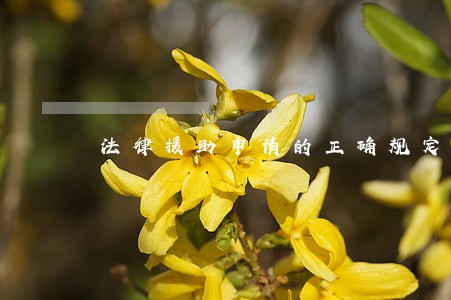 法律援助申请的正确规定 法律援助申请的正确规定