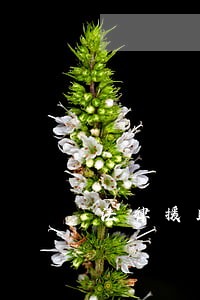 法律援助申请的规定 法律援助申请的规定