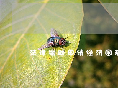 法律援助申请经济困难书 法律援助申请经济困难书
