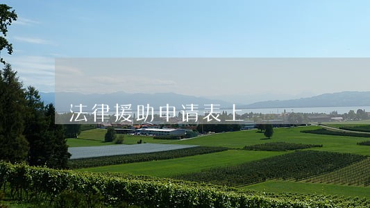 法律援助申请表上 法律援助申请表上