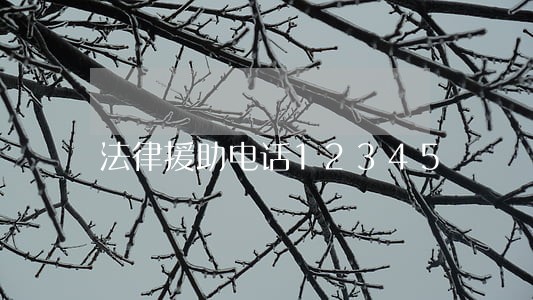 法律援助电话12345 法律援助电话12345