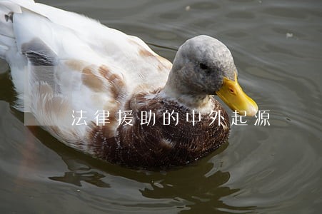 法律援助的中外起源 法律援助的中外起源