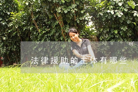 法律援助的主体有哪些