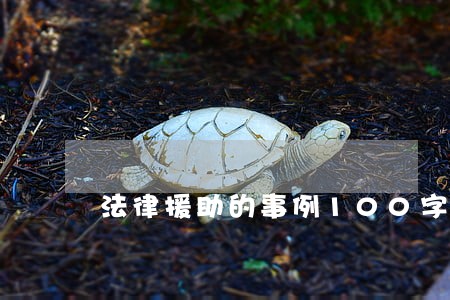 法律援助的事例100字 法律援助的事例100字
