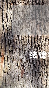 法律援助的地方几点上班 法律援助的地方几点上班