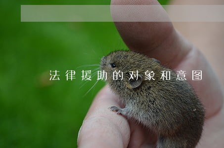 法律援助的对象和意图