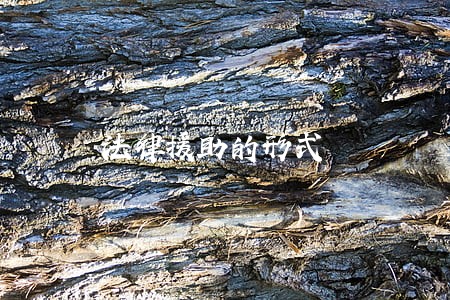 法律援助的形式