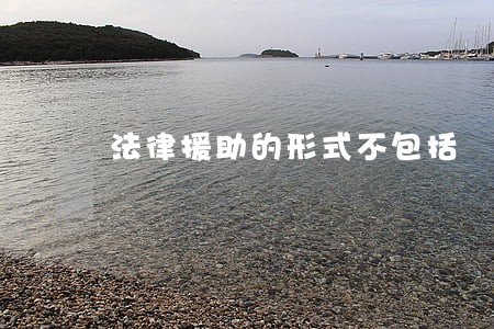 法律援助的形式不包括