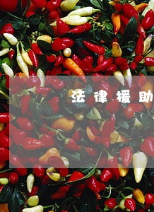 法律援助的律师费谁给出 法律援助的律师费谁给出