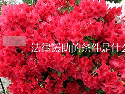 法律援助的条件是什么 法律援助的条件是什么