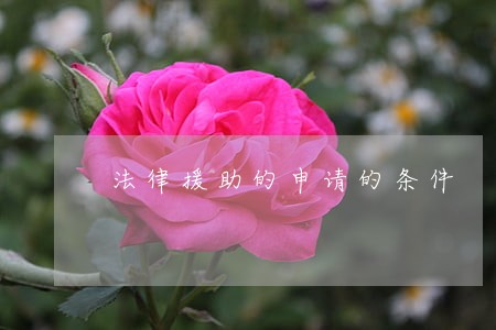 法律援助的申请的条件