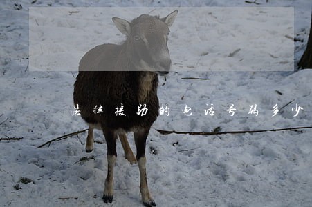 法律援助的电话号码多少 法律援助的电话号码多少