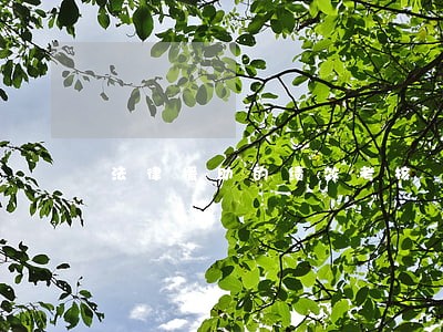 法律援助的绩效考核 法律援助的绩效考核
