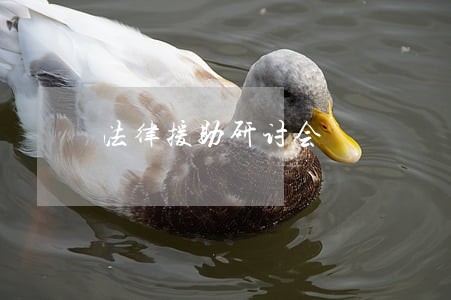 法律援助研讨会 法律援助研讨会