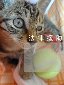 法律援助离婚官司流程 法律援助离婚官司流程