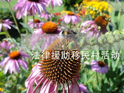 法律援助移民村活动 法律援助移民村活动